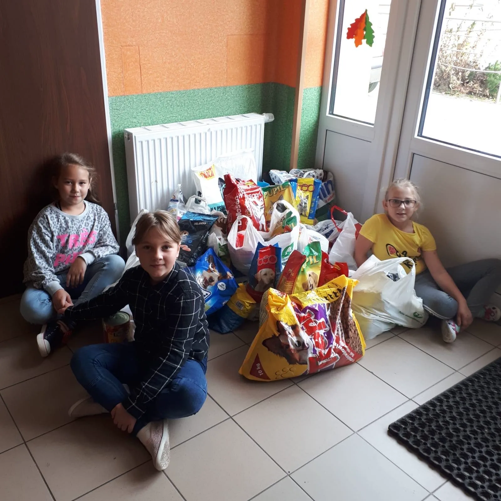 Działania szkolnego wolontariatu na rzecz schroniska dla zwierząt