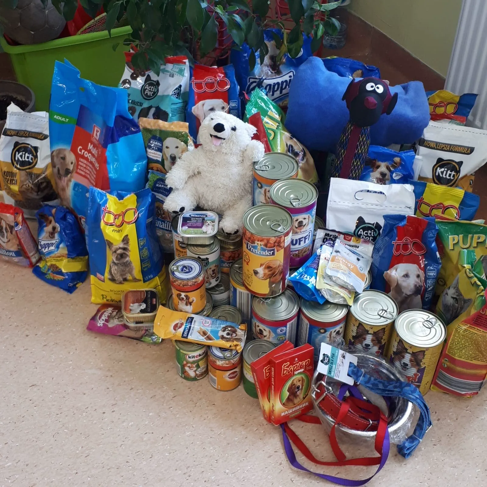 75341069 367128850709833 4200273699598761984 n