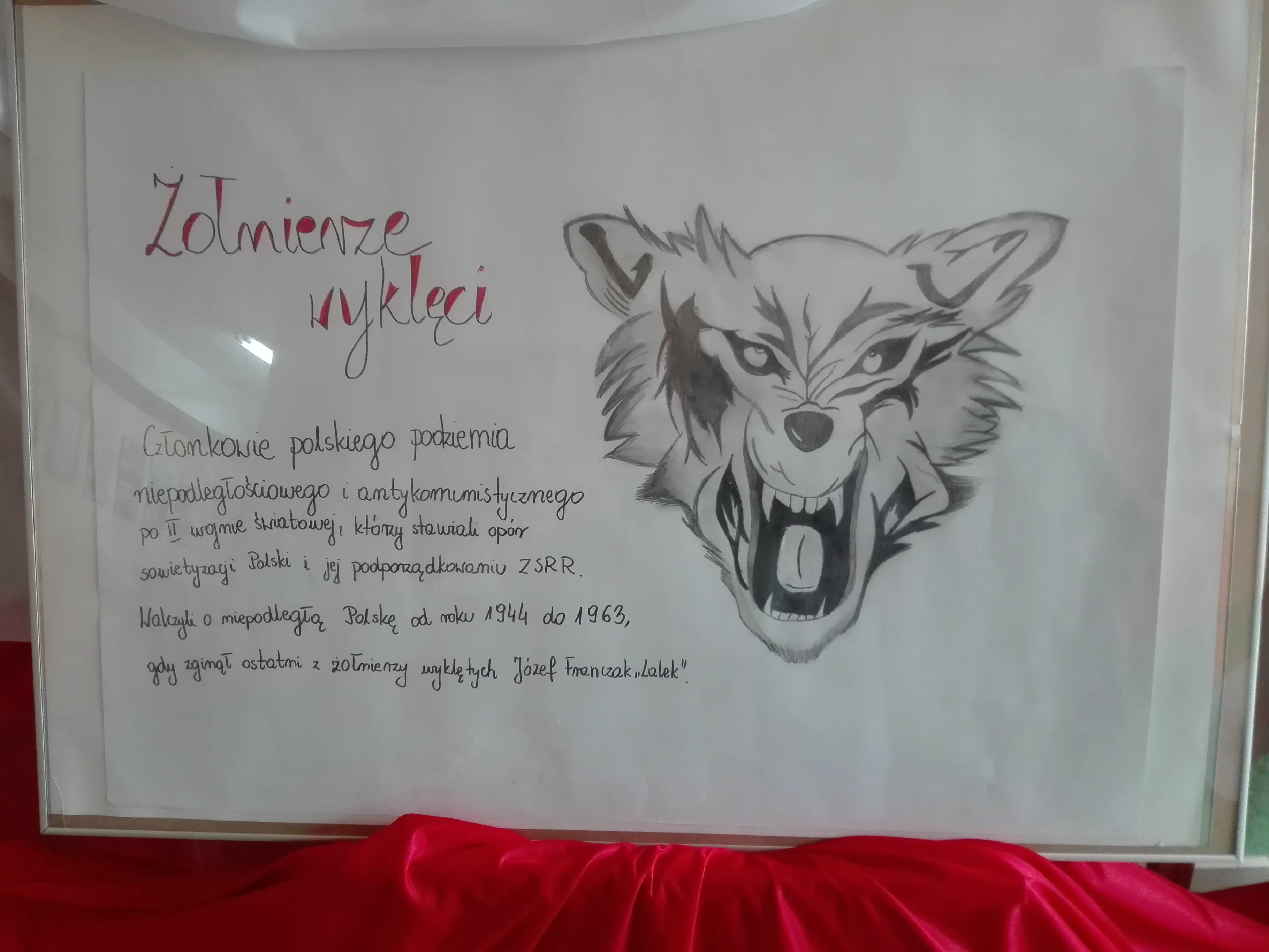 88082173 839618769783271 5234009363525402624 n