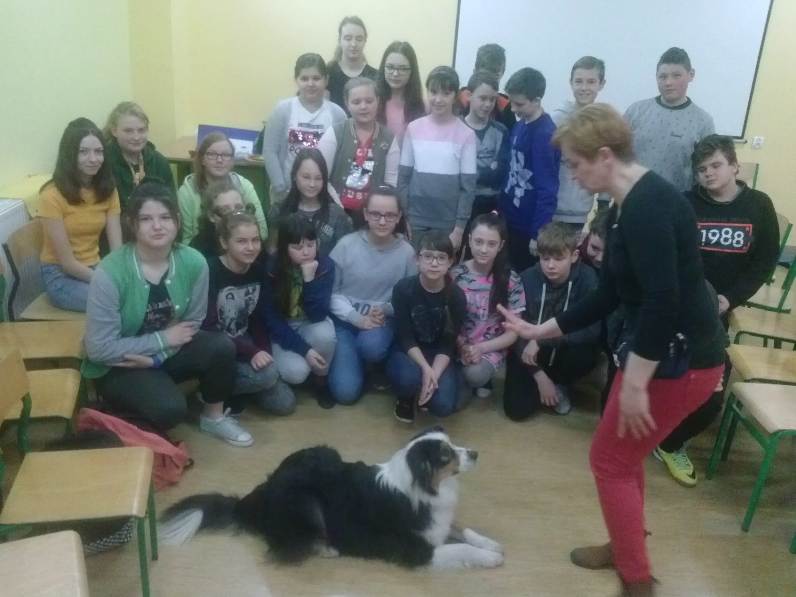 Komunikacja między gatunkami - czyli jak zrozumieć psa