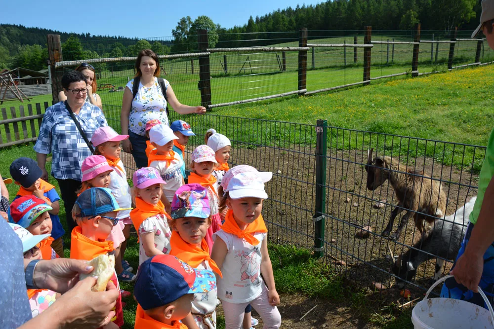 Pszczóki na wycieczce