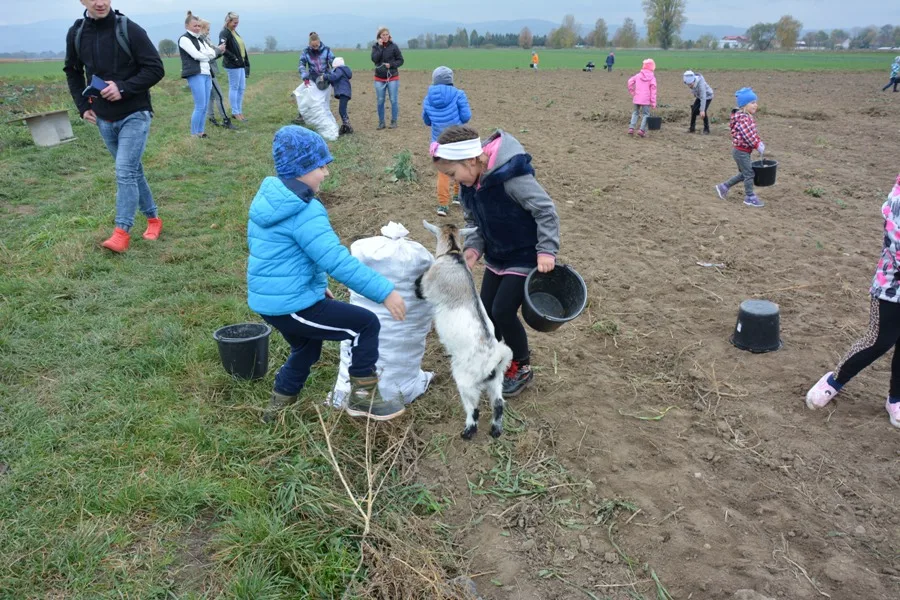 Wycieczka do Mościska
