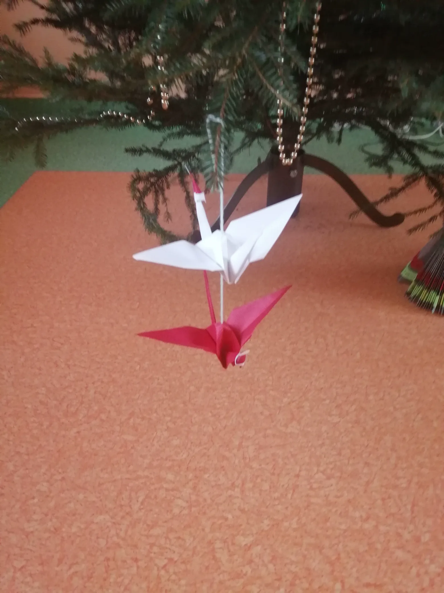 IMG 20191211 080044 resized 20191211 051808443