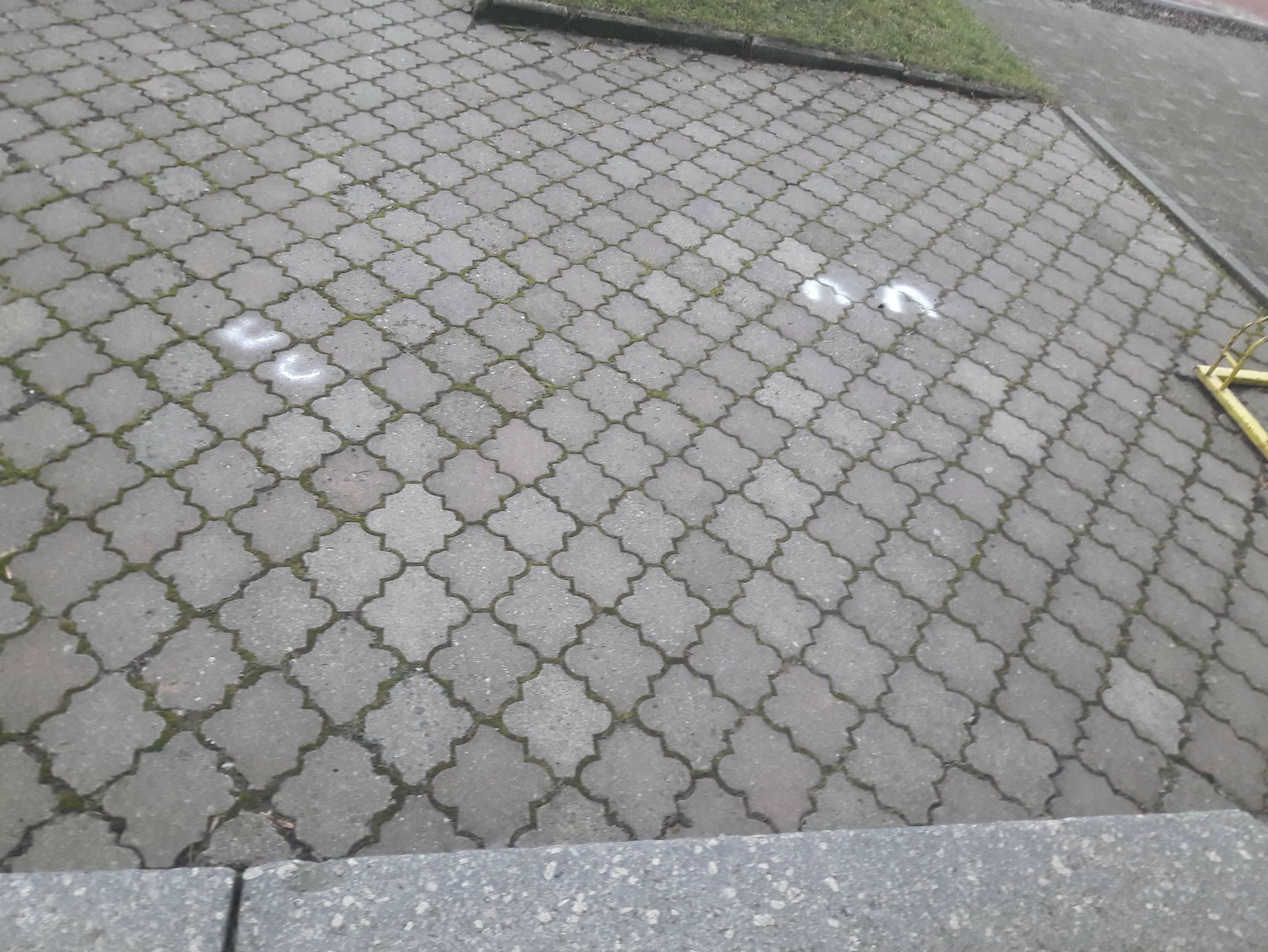 0BC9F204 E862 4E8D A42D 4791BE378999