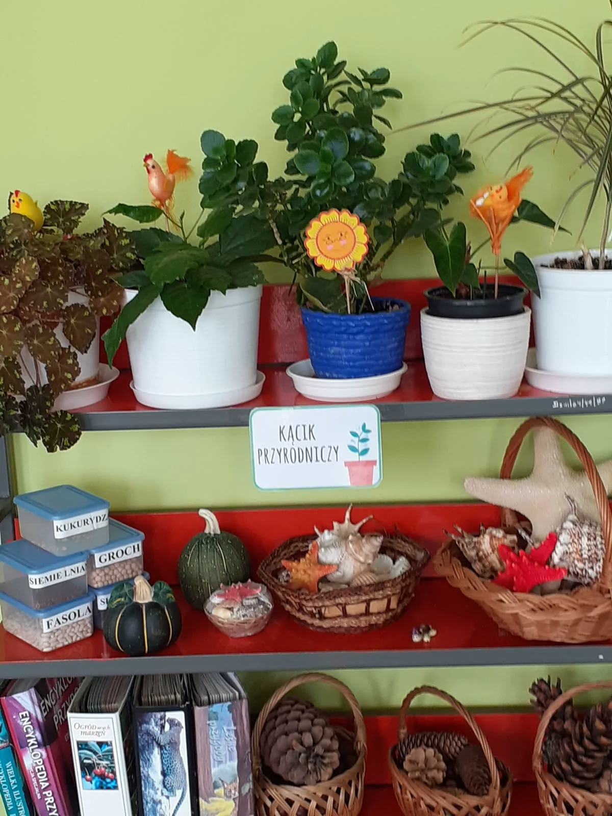 PHOTO 2020 04 21 19 08 54