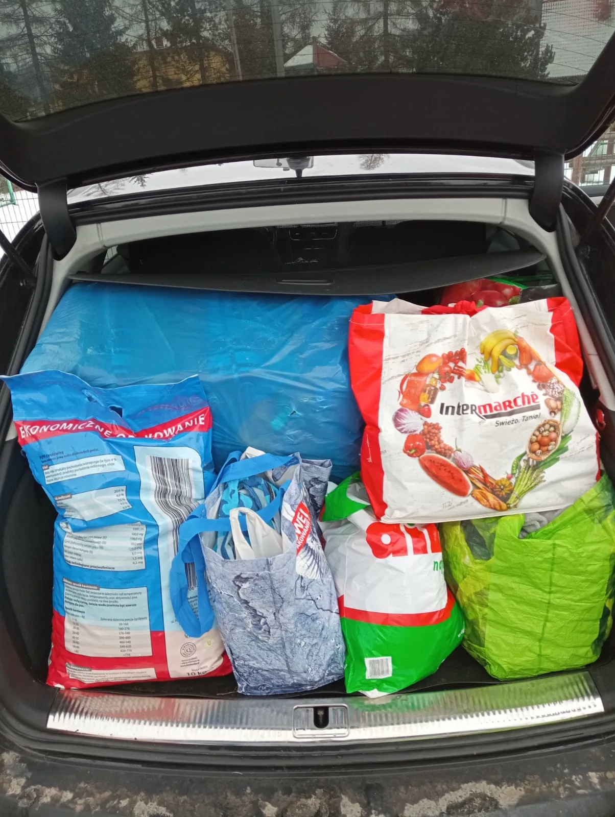 PHOTO 2022 12 22 07 17 29