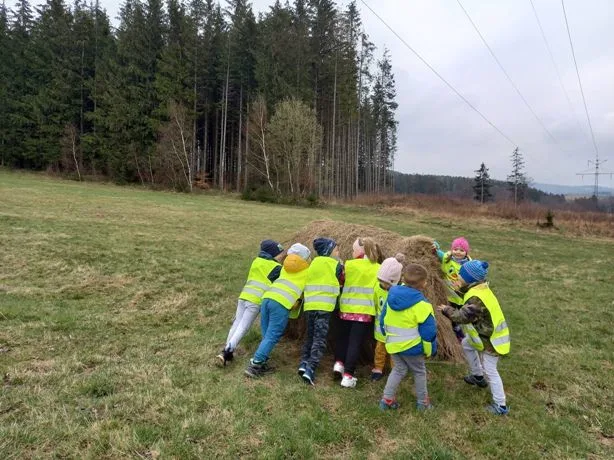 175663864 2296903990445137 566621627187072555 n