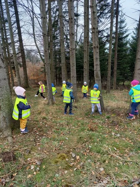 175897335 206137717678844 4839153215607470289 n