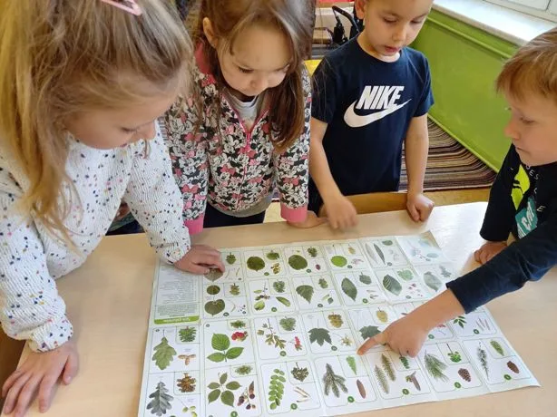 176895983 171479831510900 4454540073681812381 n