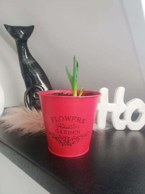 bb32aaf2 527c 49bd b422 8a1b00dcbe4e