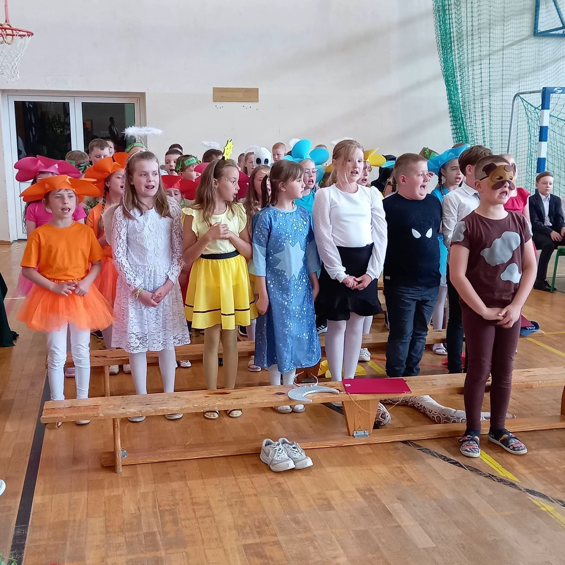 353173156 1313617556238832 731023551032443834 n