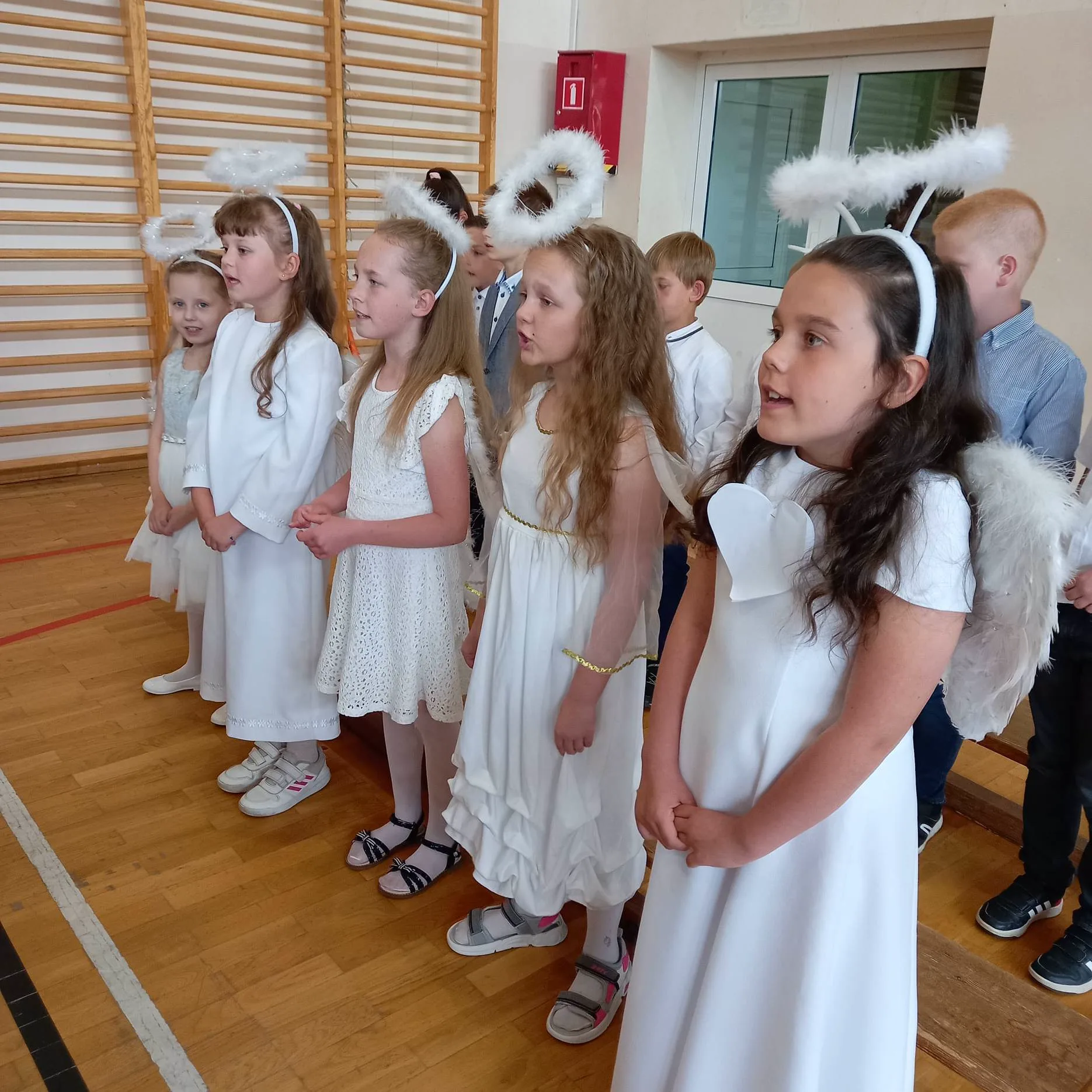 354484355 249478587674362 4430978899070336148 n