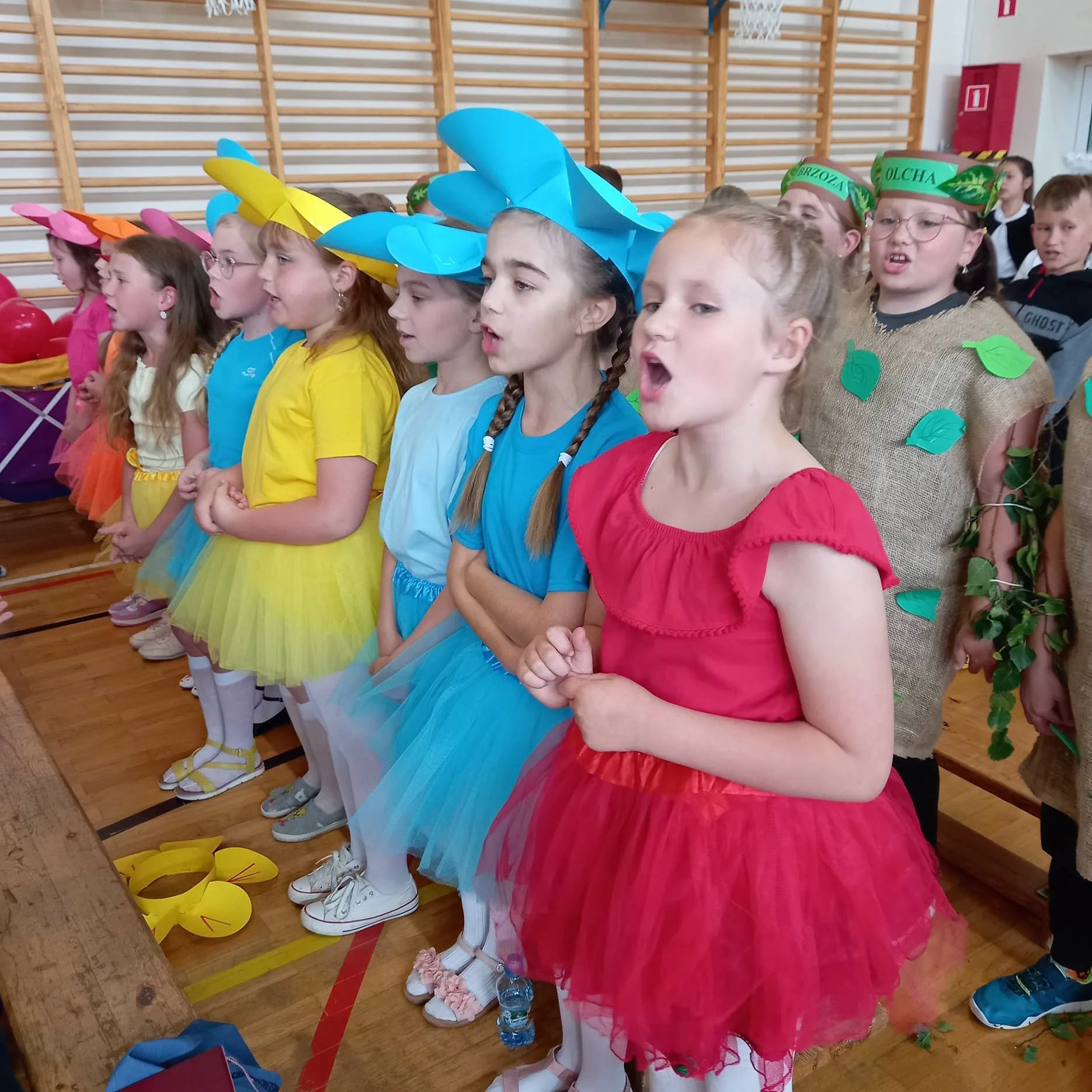 354664476 926645715304817 8915131196482399612 n