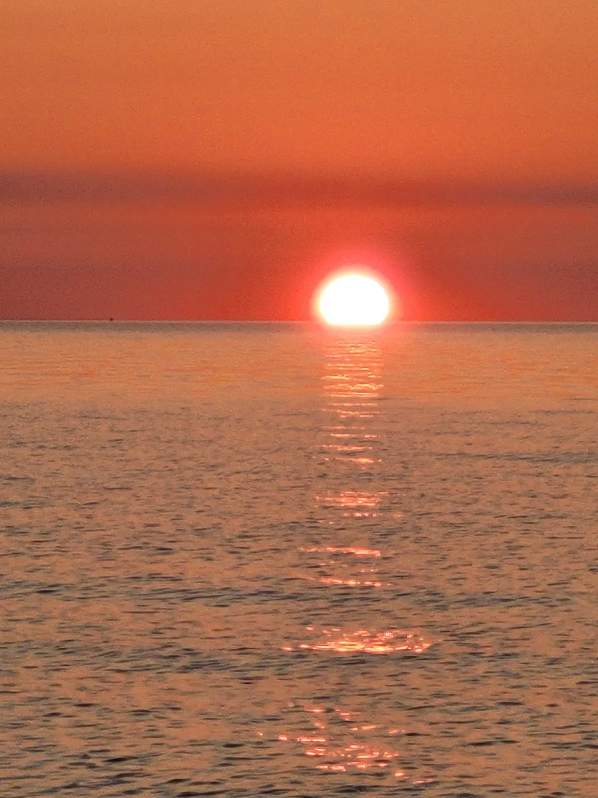 PHOTO 2023 06 16 12 05 06