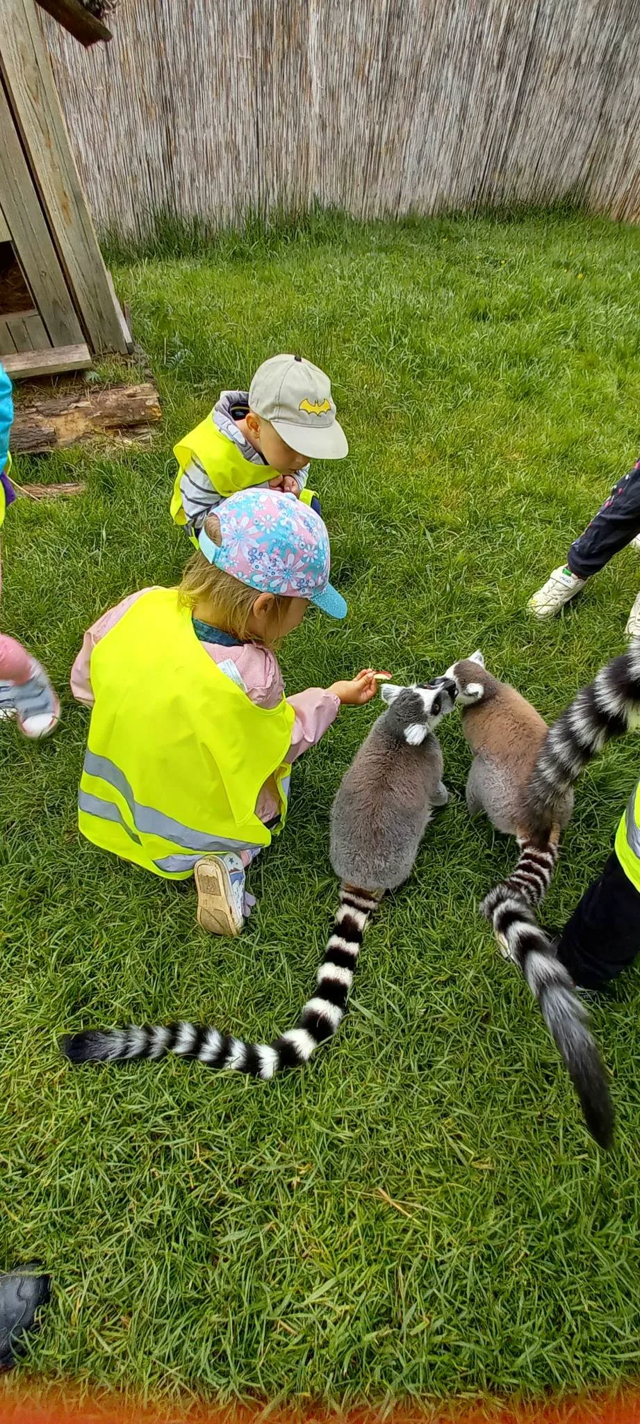 received 1028020251971462.jpeg