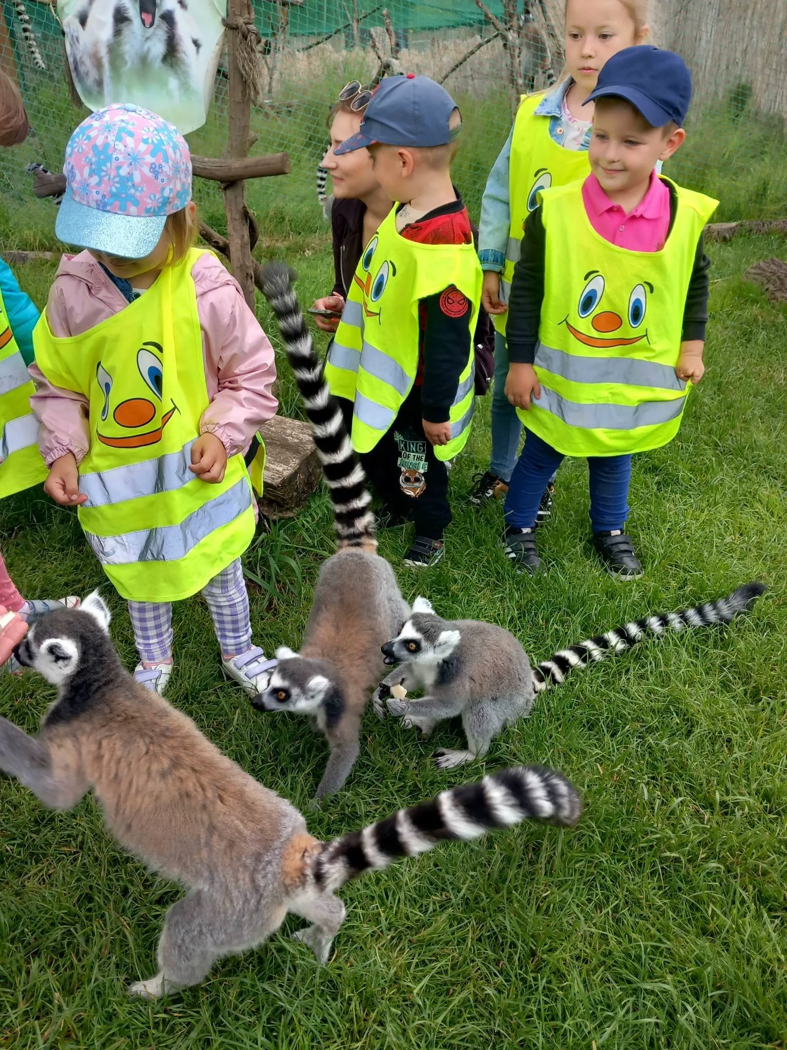 Z WIZYTĄ U LEMURÓW