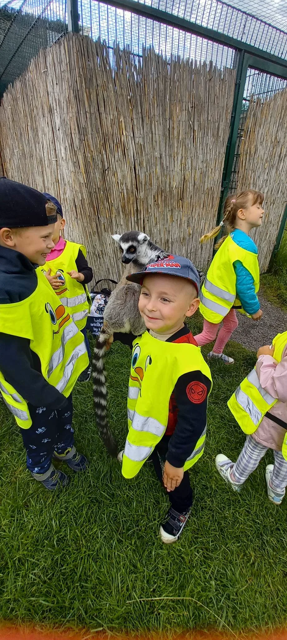 received 1240216526636461.jpeg