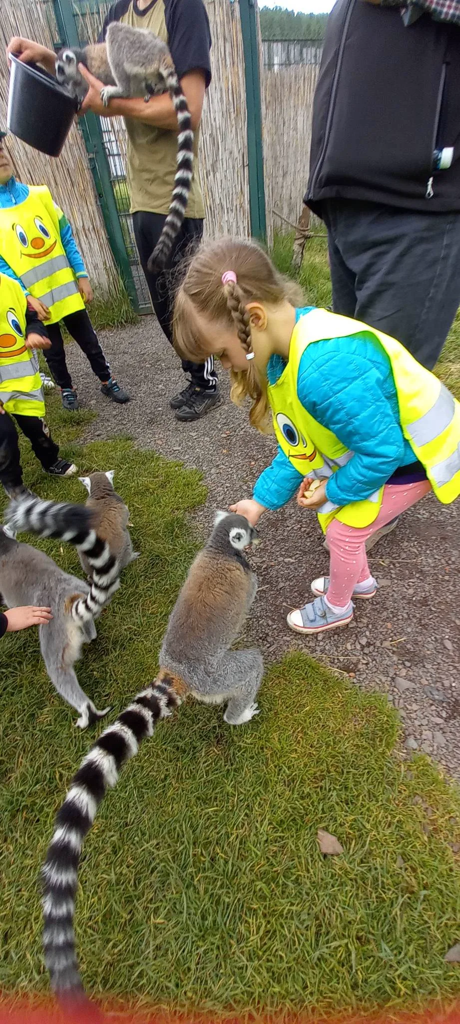 received 1603715556819058.jpeg