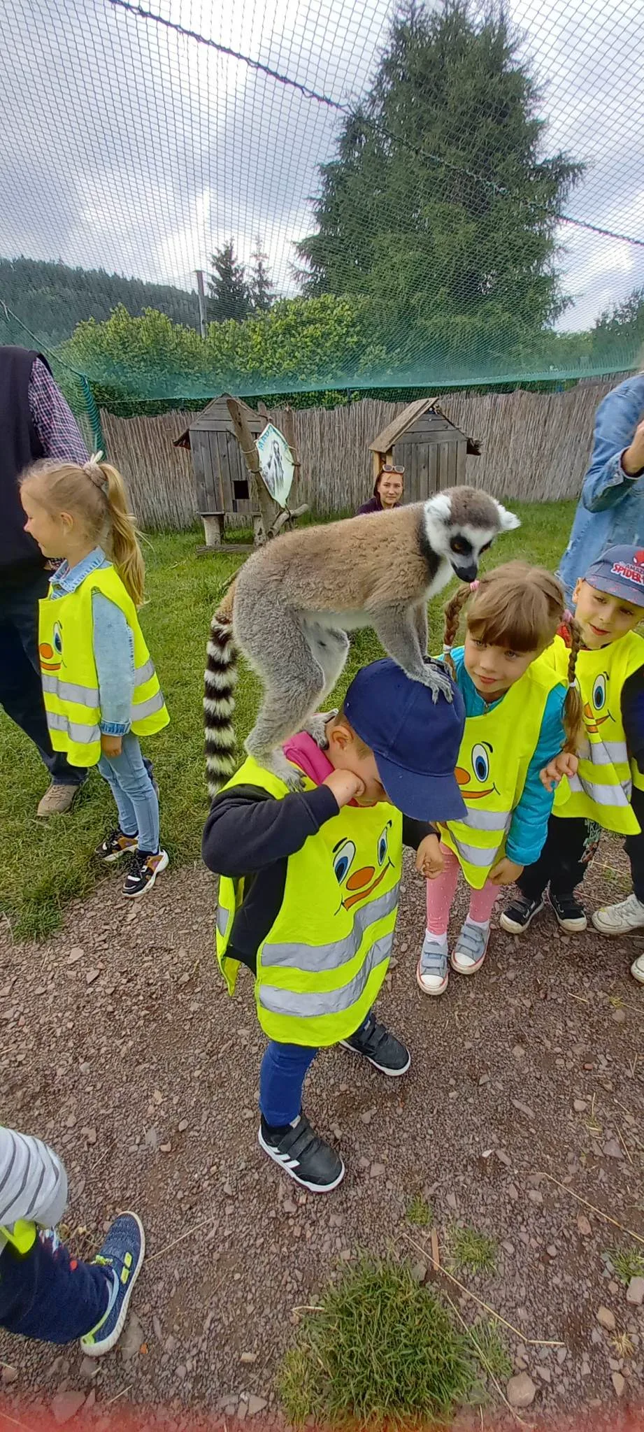 received 224407420450280.jpeg