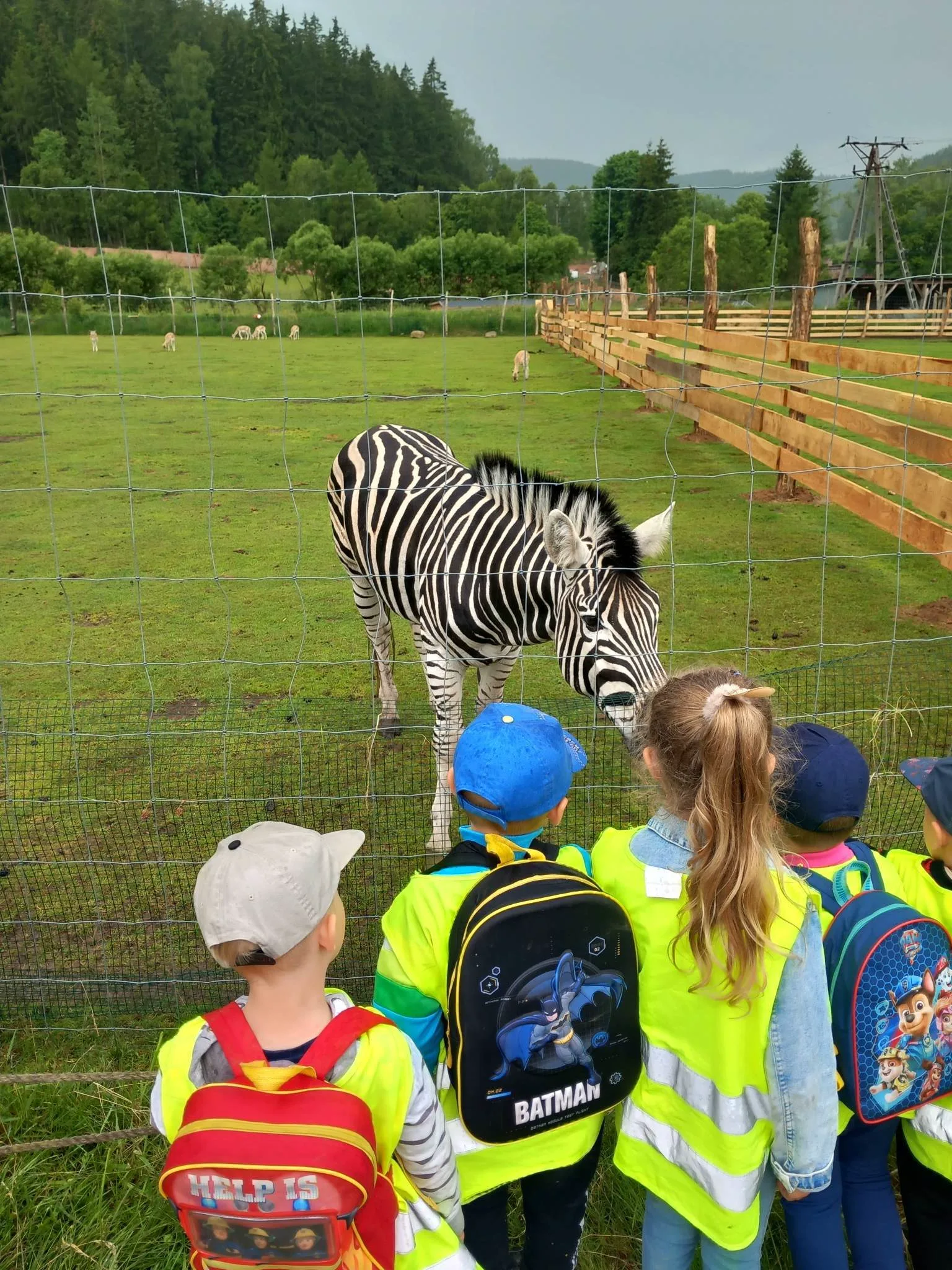 received 294932422891101.jpeg