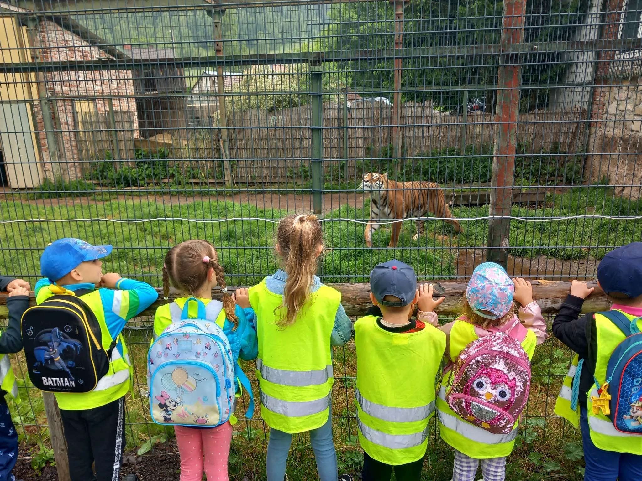 received 622614973261677.jpeg