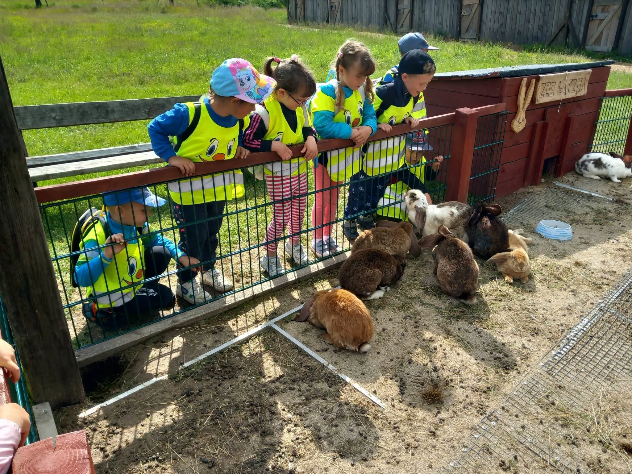 received 729149195631834.jpeg