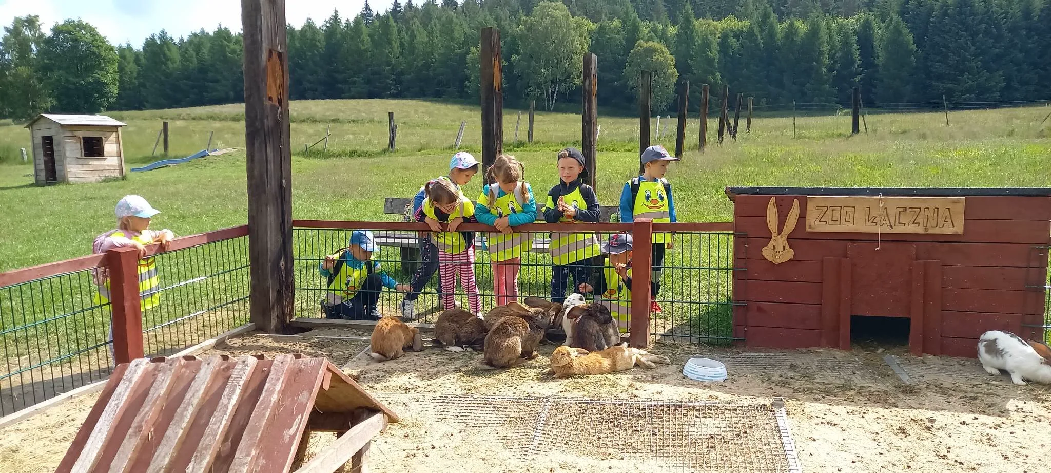 received 737256414844637.jpeg