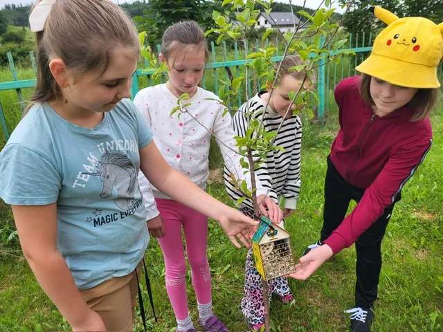 PHOTO 2024 06 14 10 01 05 3