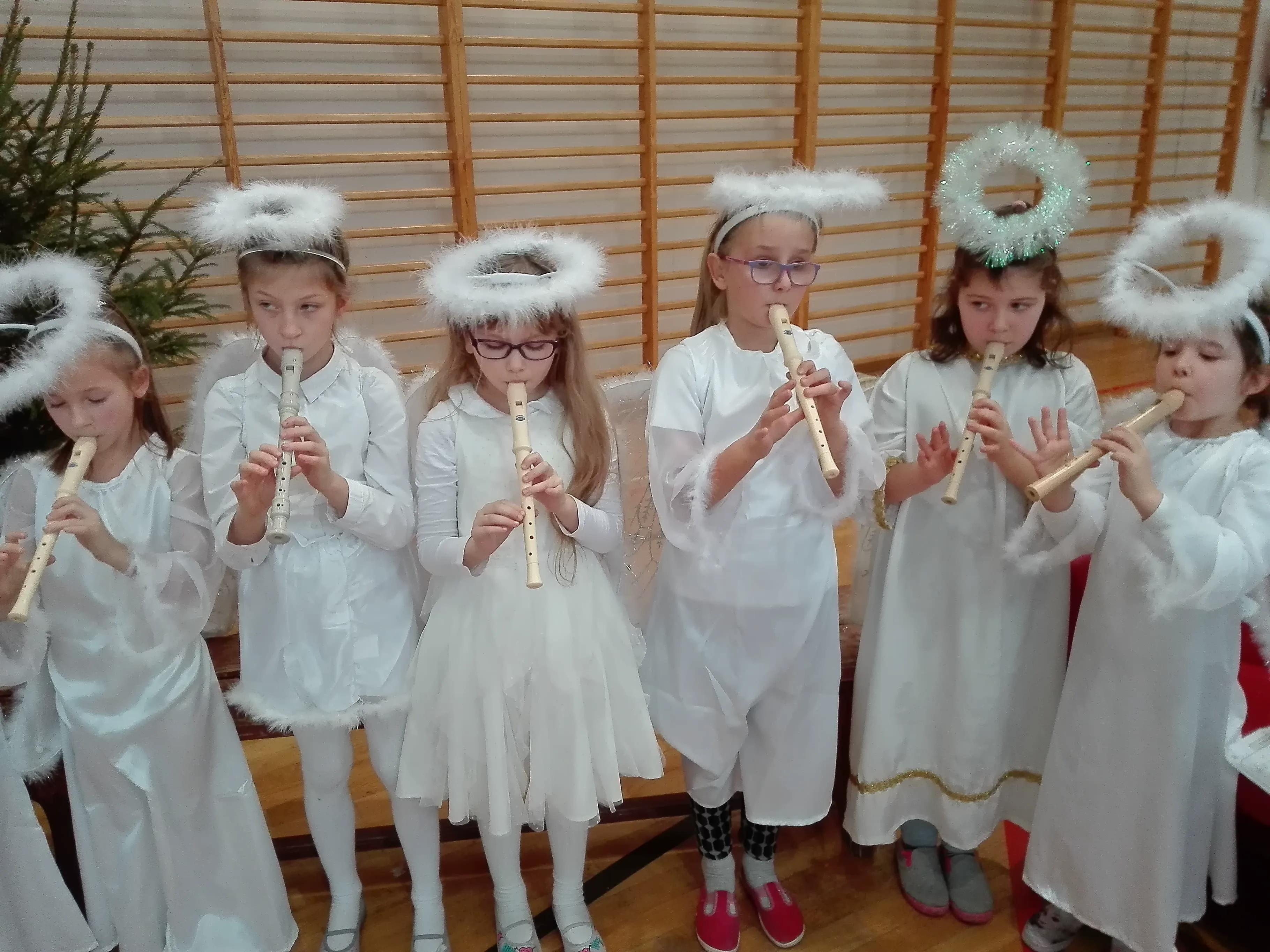 49652614 291504471507827 5528600216875302912 n