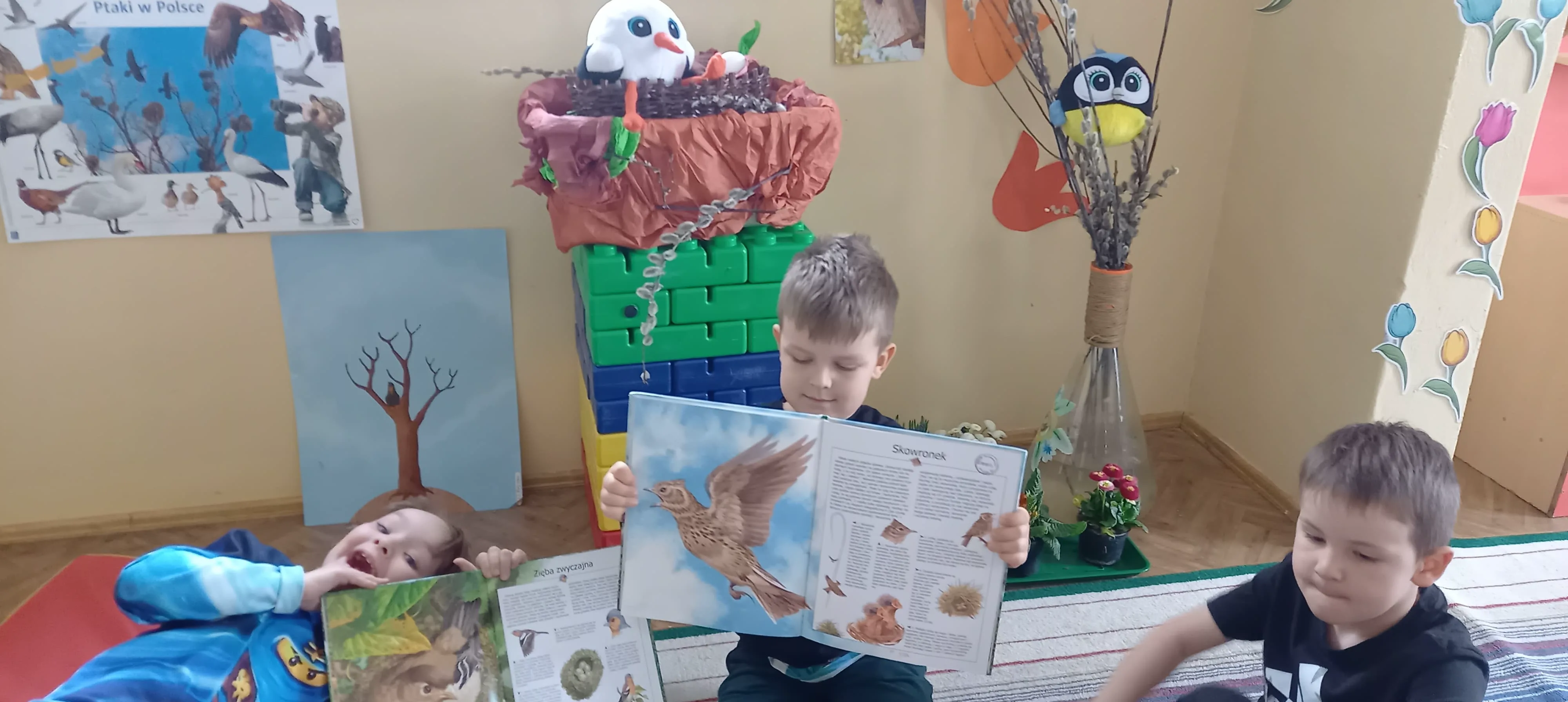 277211067 1291133484713904 561892783507718601 n