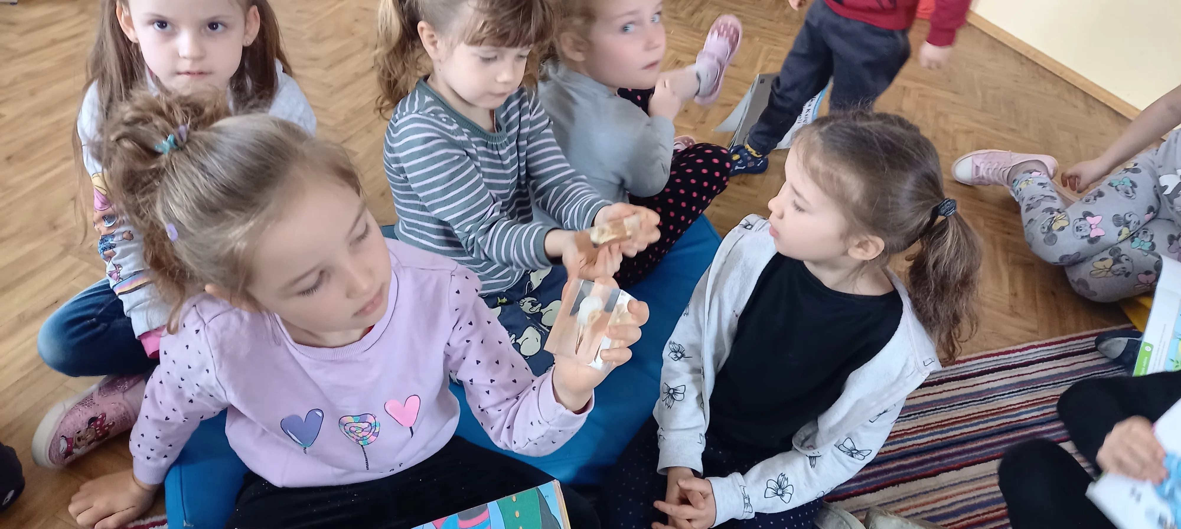 277455074 388017419813033 5276244874644407364 n