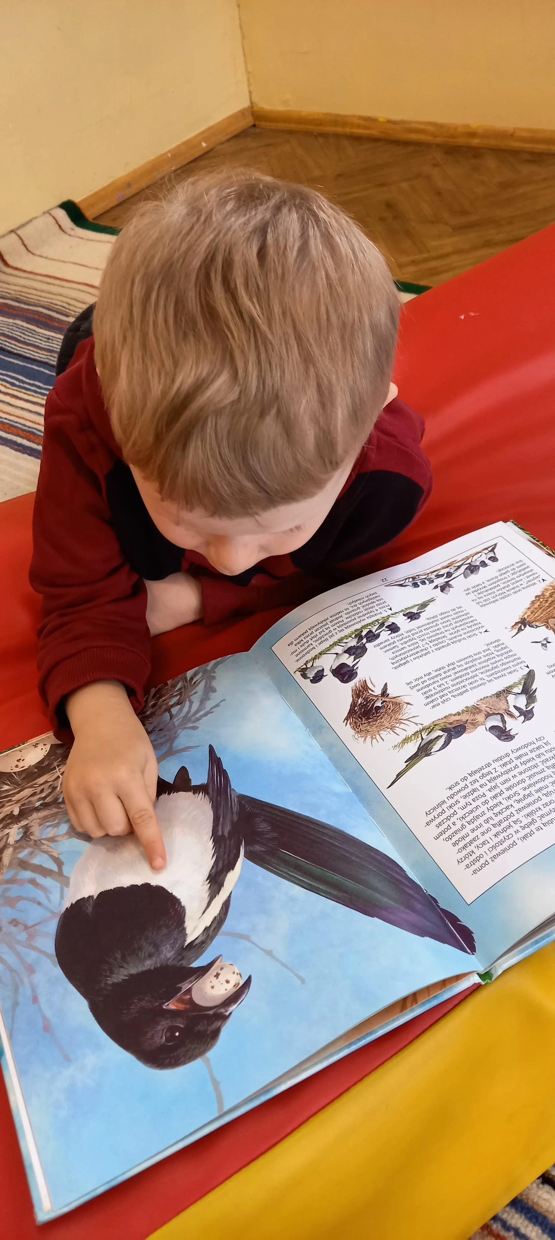 277520380 298080128968490 457306939990350716 n