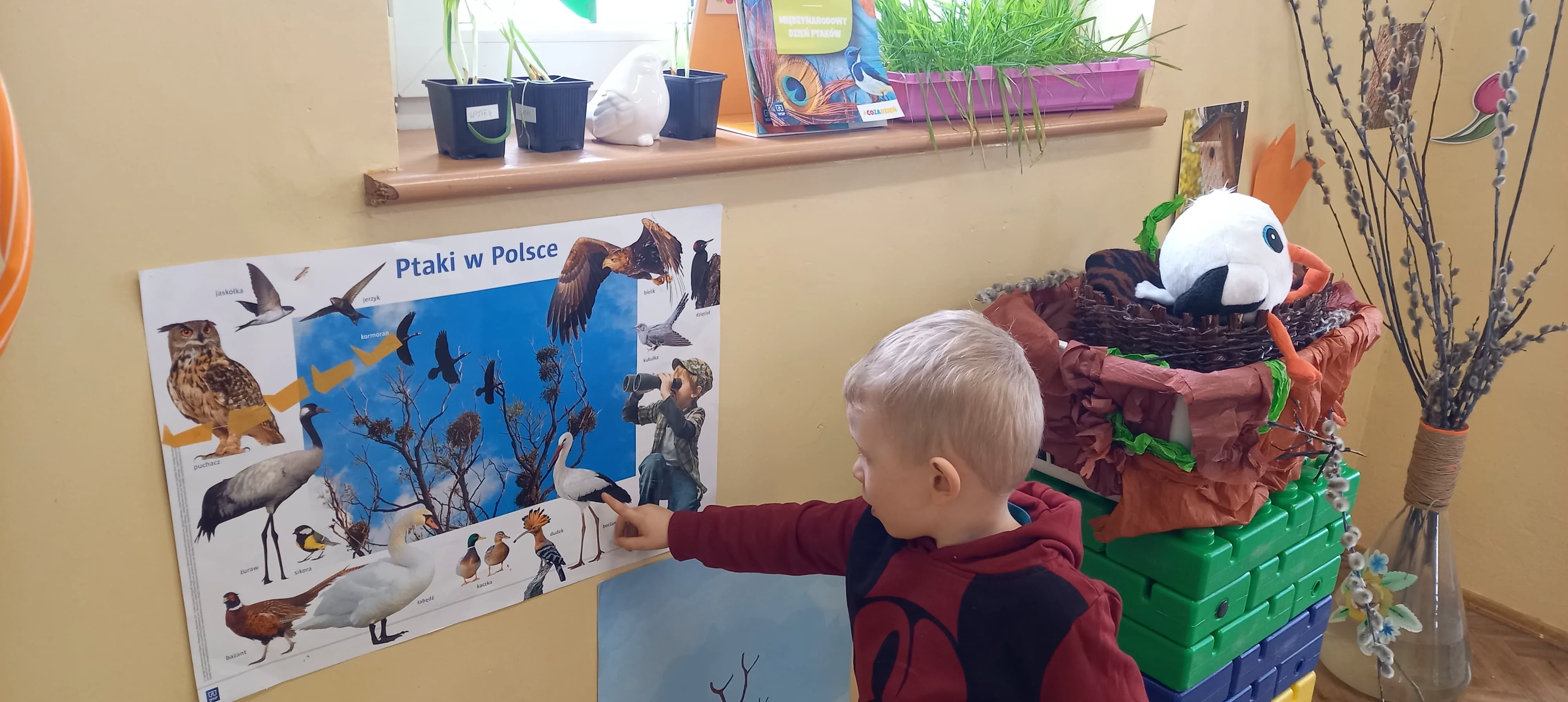 277543690 334233795240479 3586606639038310111 n