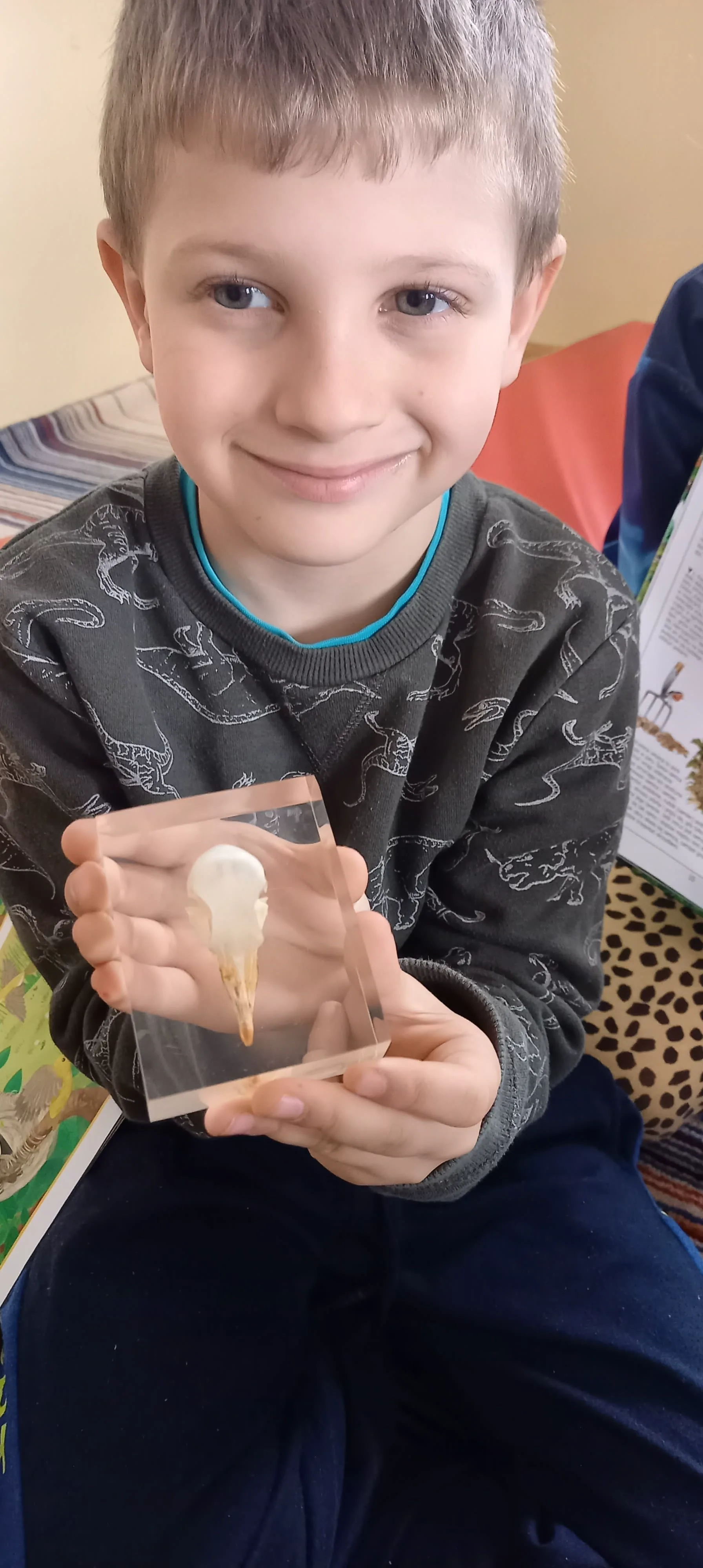 277611419 375653954426219 3694394767740285313 n