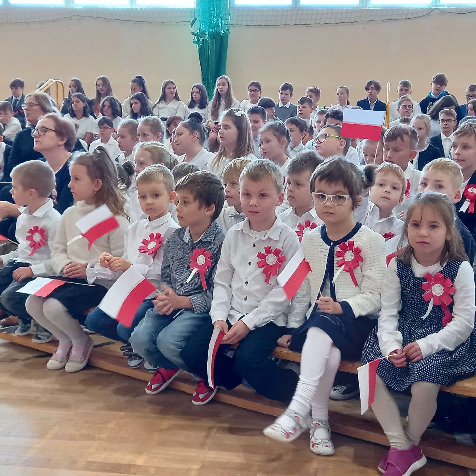 313116920 684119893003813 6656968611020144585 n