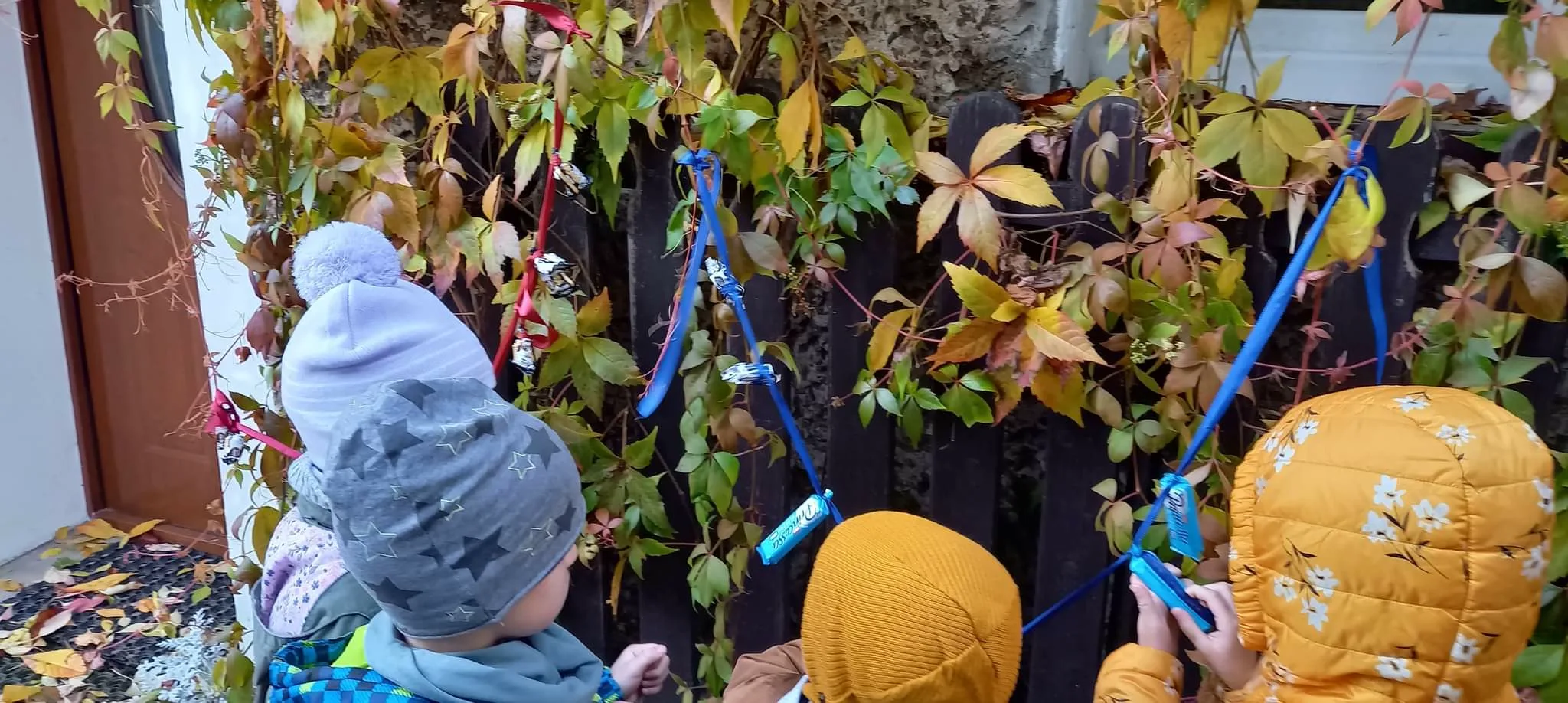 received 1290966694997619.jpeg