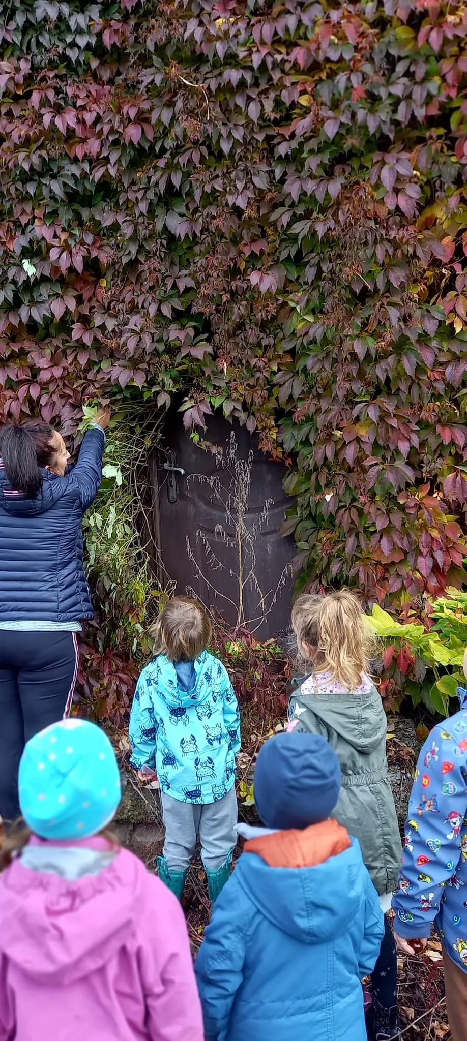 received 1772235206502775.jpeg