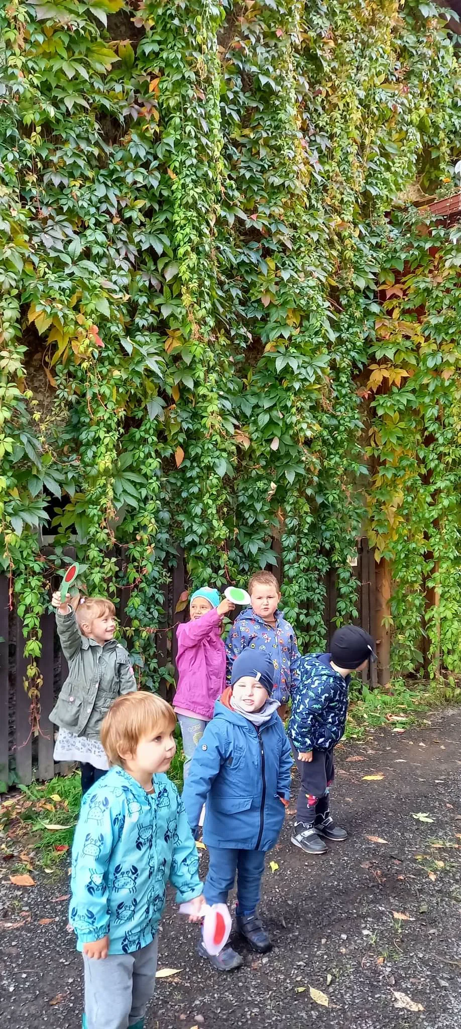 received 1817007931971992.jpeg