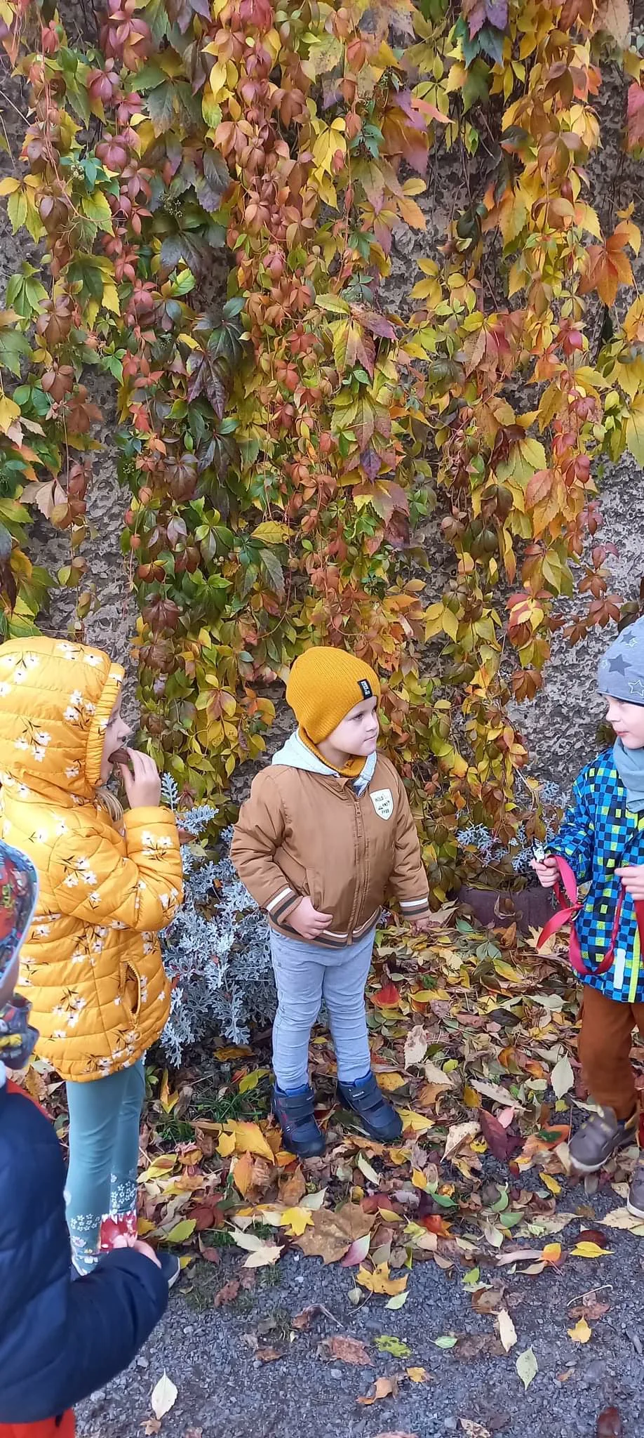 received 5587162298037528.jpeg