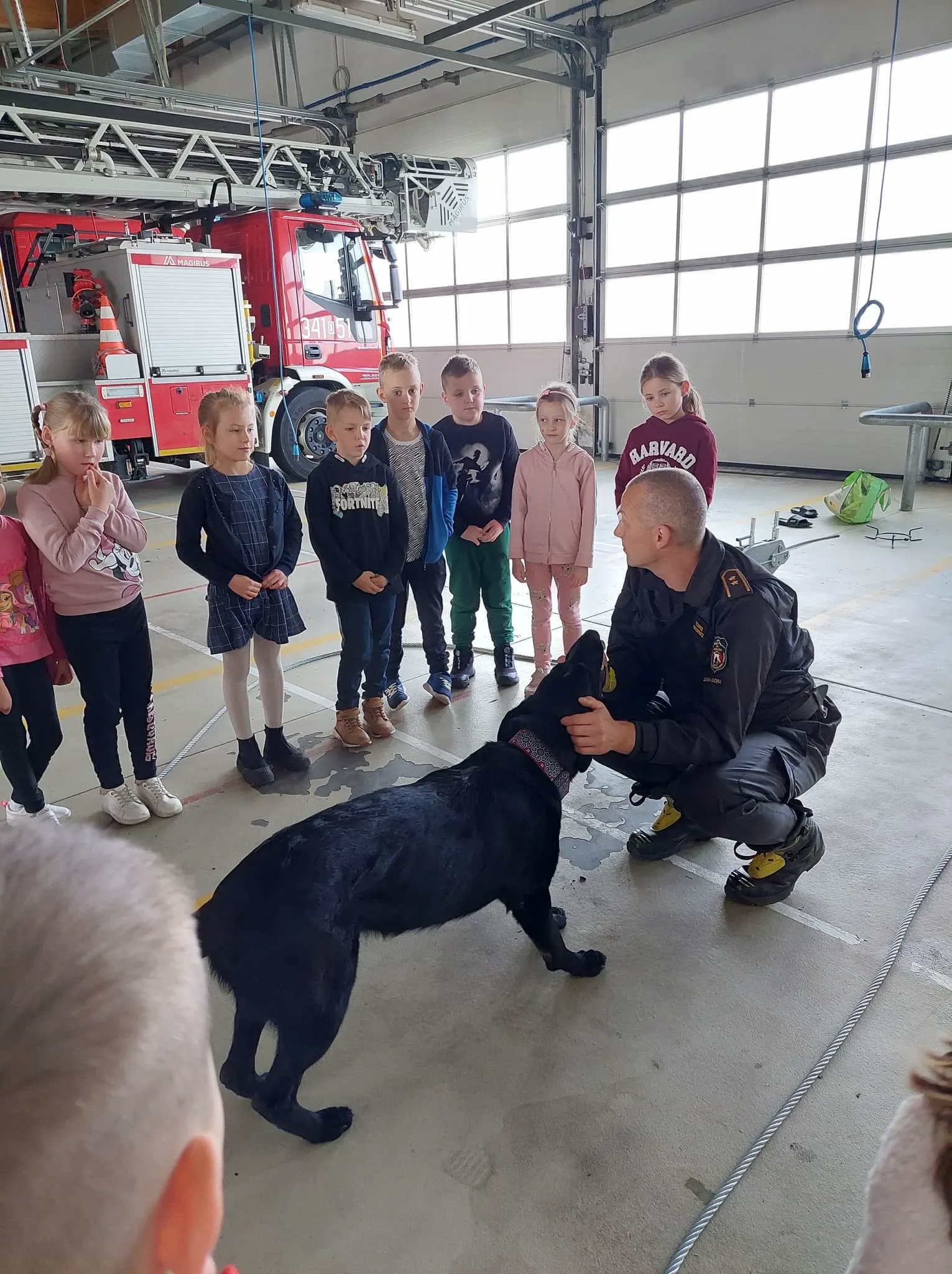 received 622767776263691.jpeg