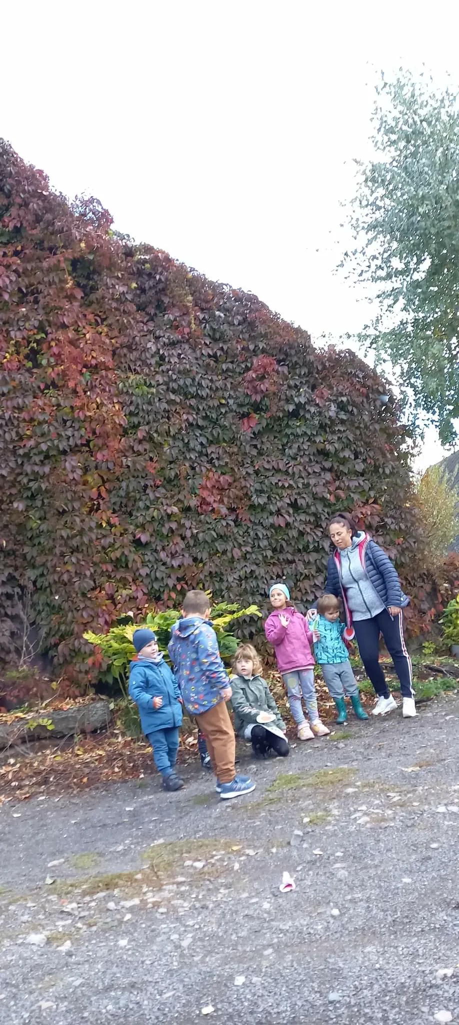 W POSZUKIWANIU TAJEMNICZEGO OGRODU