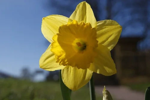 FINAŁ  ŻONKILOWEJ  KWESTY