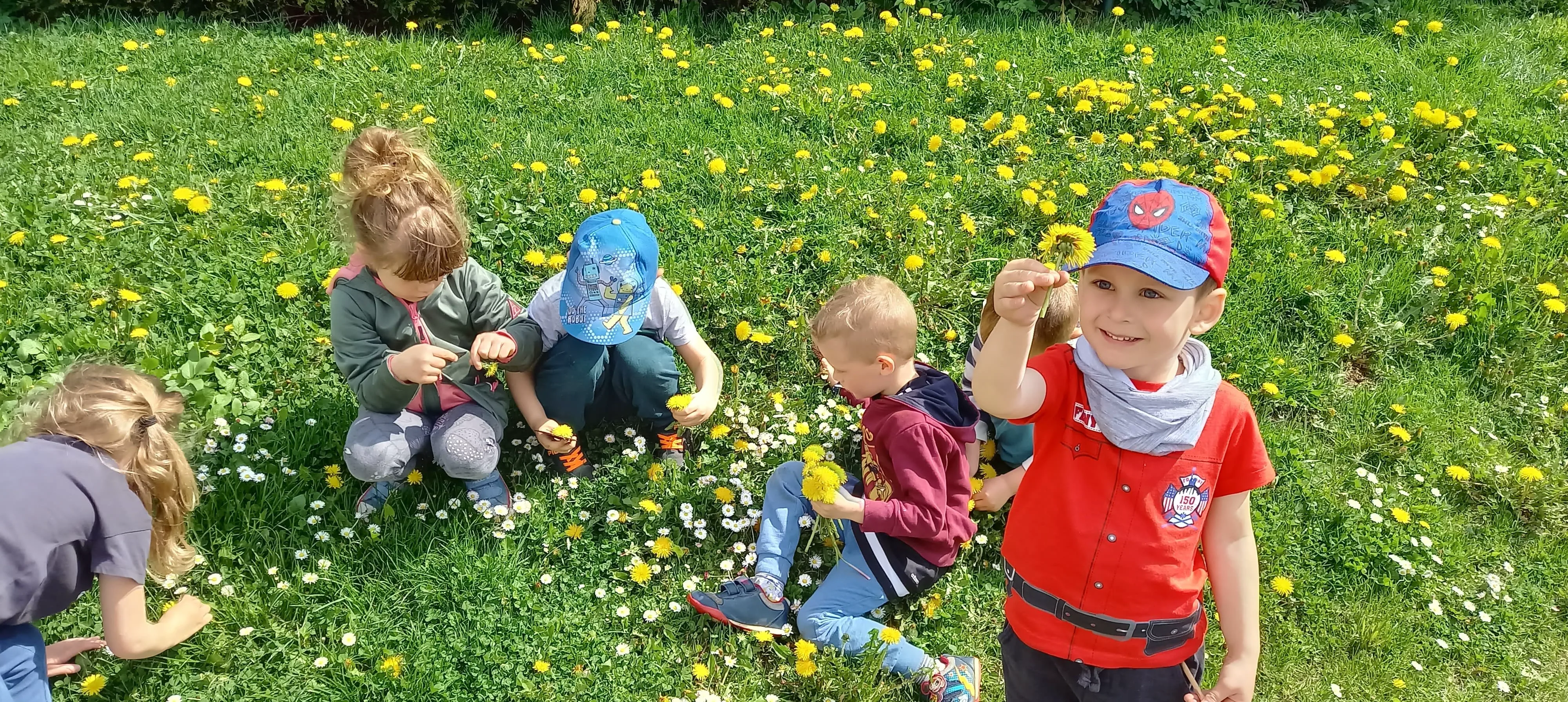 279935896 711884866627955 3269592721111628431 n