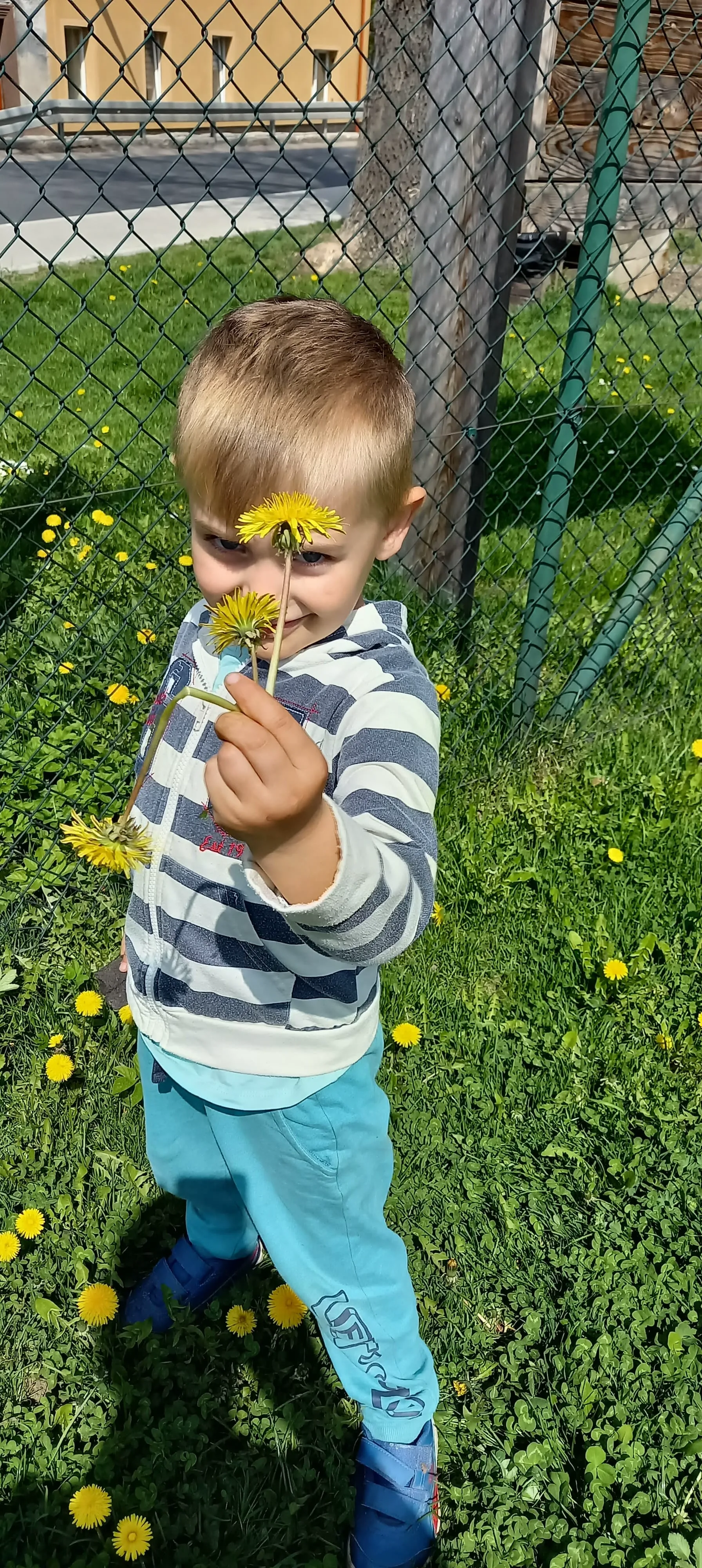 280372617 1470106256756782 1855054449740548693 n