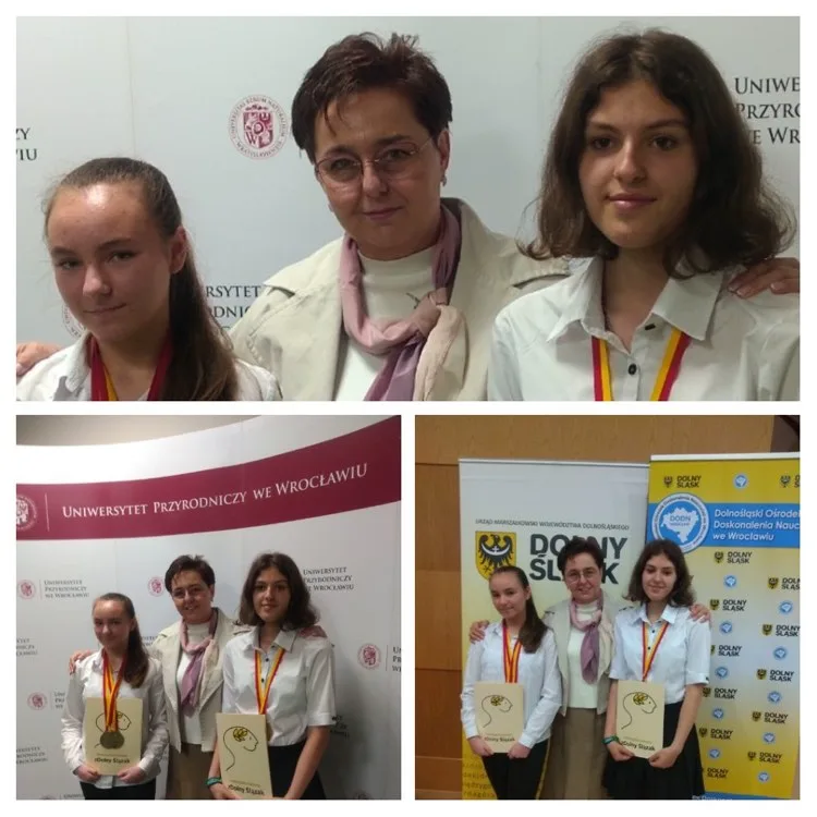 280912595 2496571467145313 3647787865112696944 n