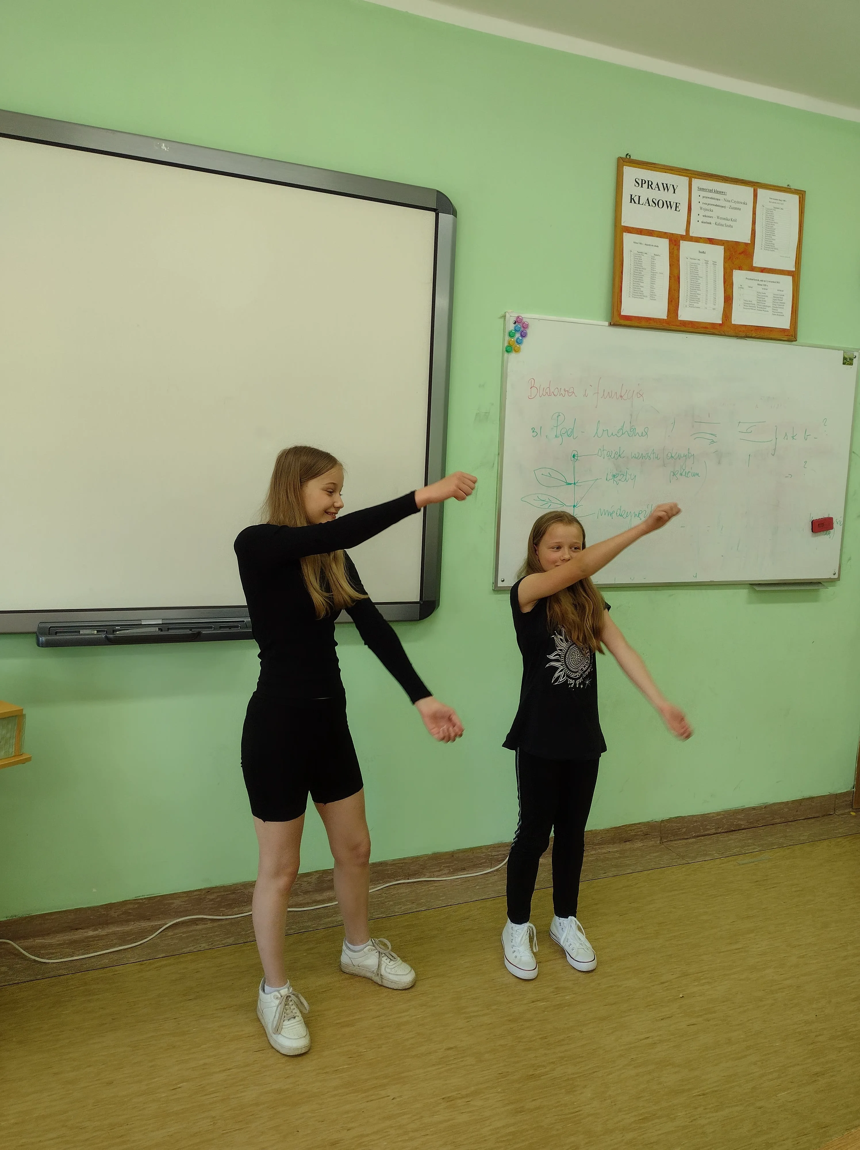 281687445 1355387661593977 2732400796145713585 n