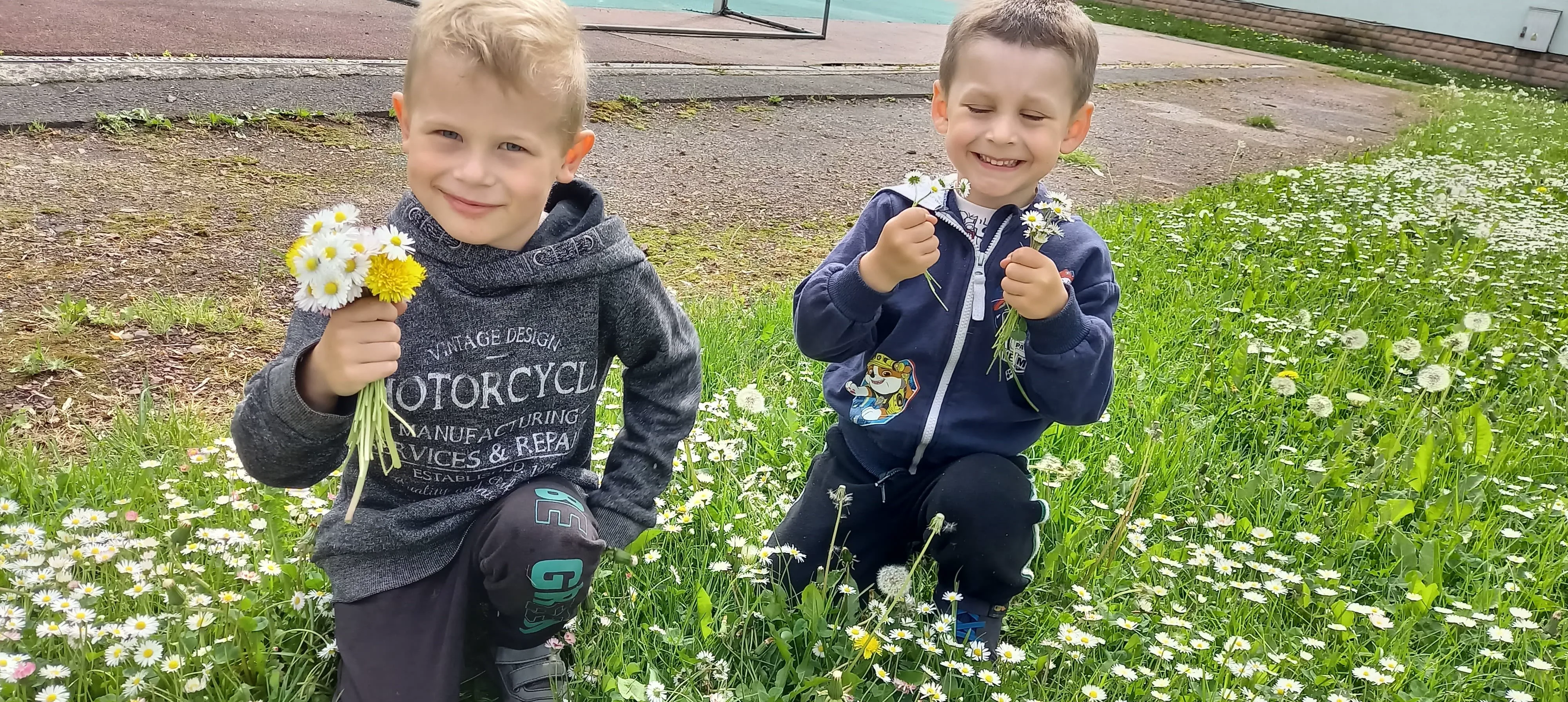 283324776 422855046351502 7791927258010118760 n