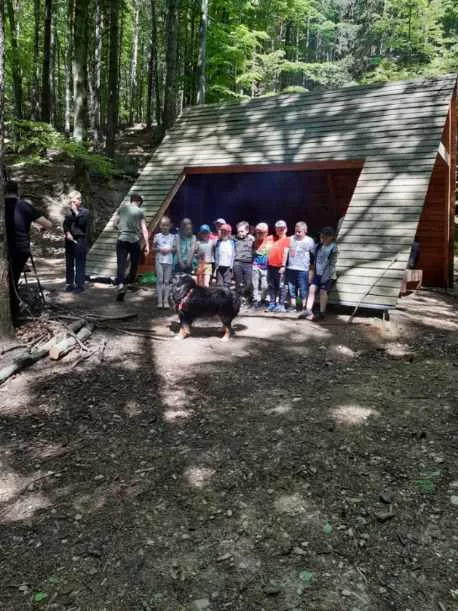 Resized 20220514 121809.jpeg