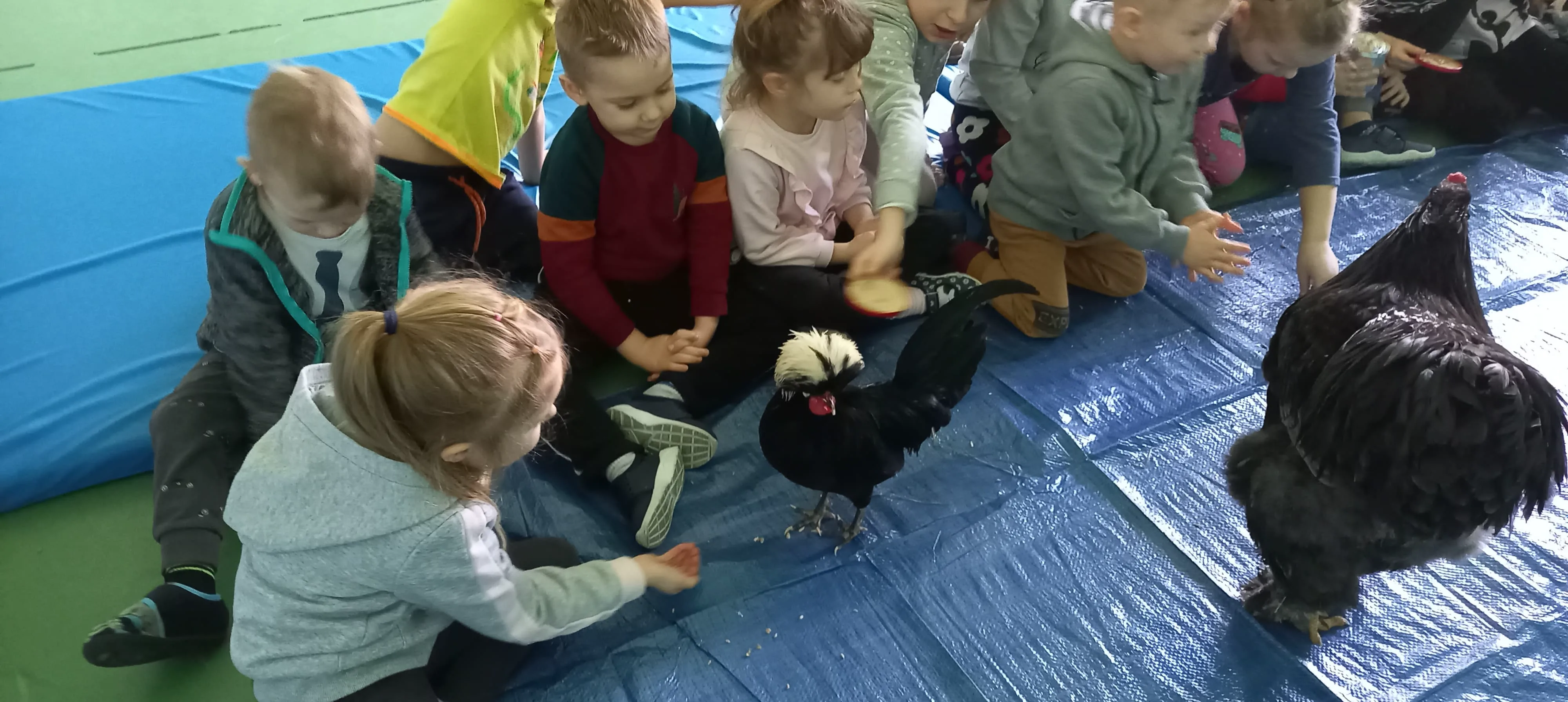 274718308 4854333881323748 2017268800742206402 n