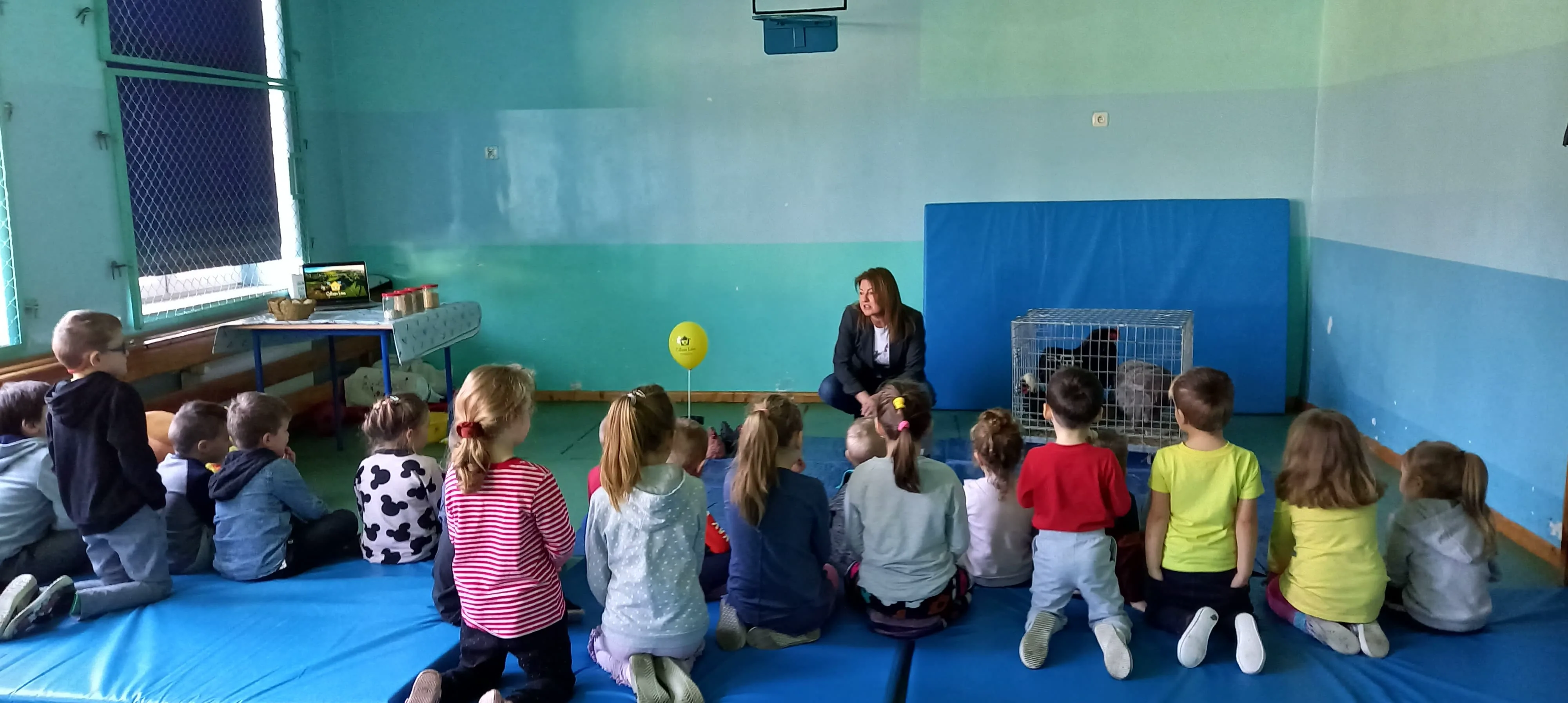 274842468 545070480529251 4960565776599496464 n